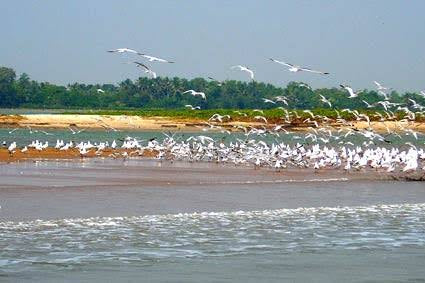 Chilika Lake Odisha nature spiritual retreat India