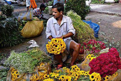 Spiritual India Expedition 2026: Odisha, Kolkata & Mayapur | October 25 - November 8