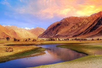 Nubra Valley sand dunes Ladakh Himalayan adventure