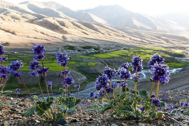 
Leh Palace Ladakh Himalayan mountains spiritual expedition
